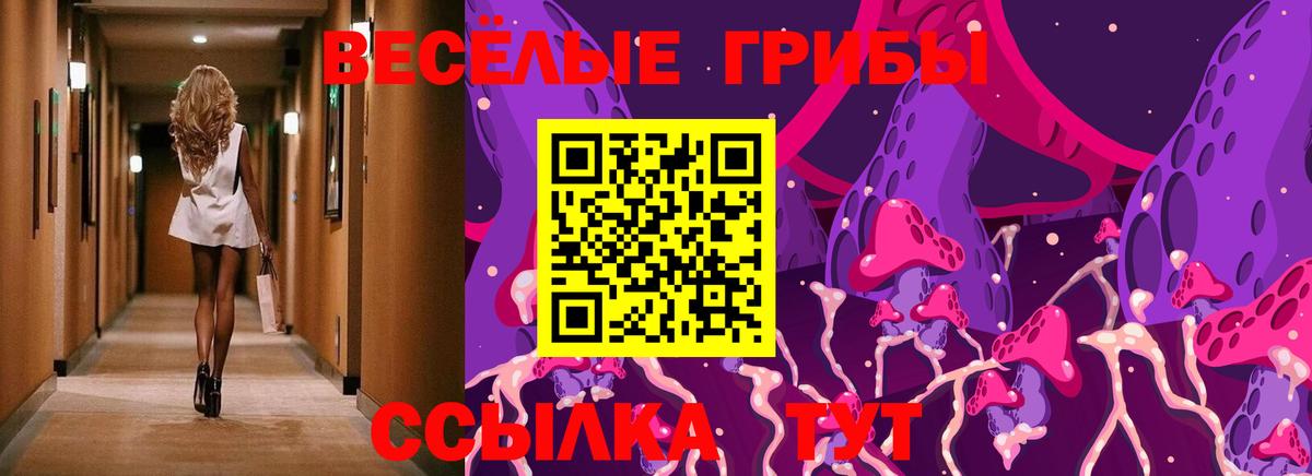 Новокузнецк  Псилоцибиновые грибы MAGIC MUSHROOMS  Вход с VPN 