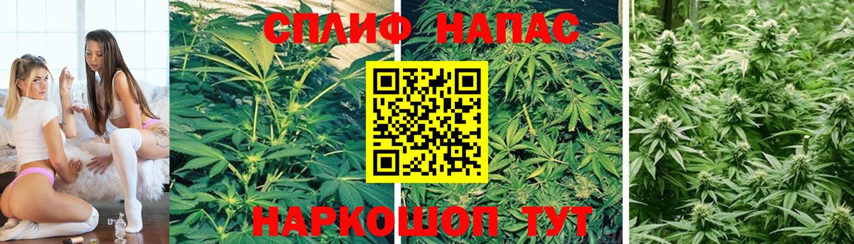 Бошки Шишки индика  Канабис LSD WEED  Новокузнецк  Канабис SATIVA & INDICA  Вход с VPN  Бошки Шишки White Widow 